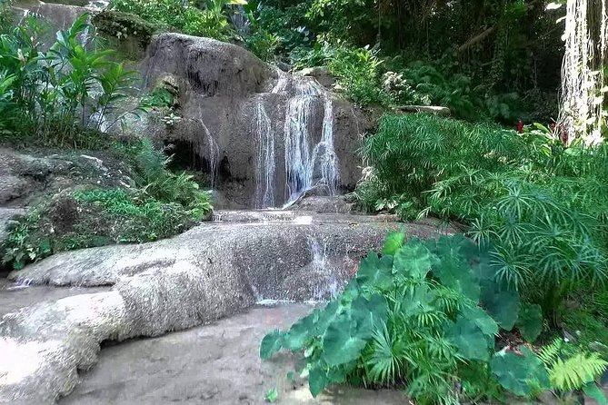 Konoko Falls and Tropical Garden Tour from Ocho Rios - The garden walk begins with orchids and birds