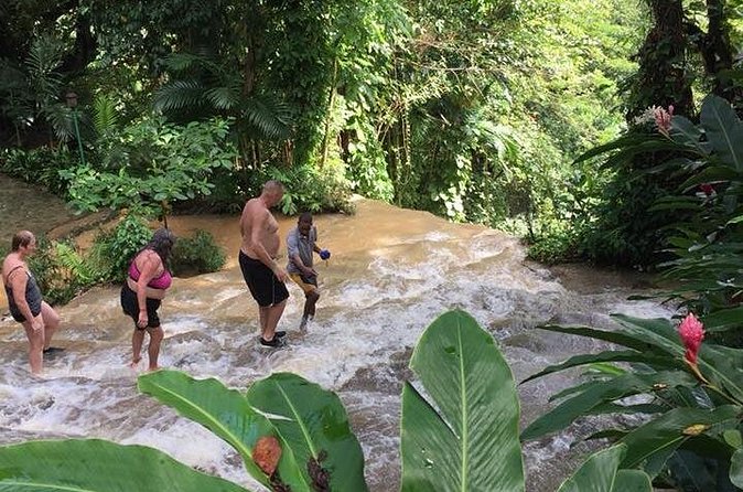 Konoko Falls and Tropical Garden Tour from Ocho Rios - The terraced climb is the active center of the tour
