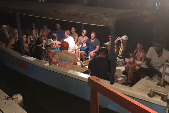 Luminous Lagoon After Dark Tour - The 45-minute ride on glowing water