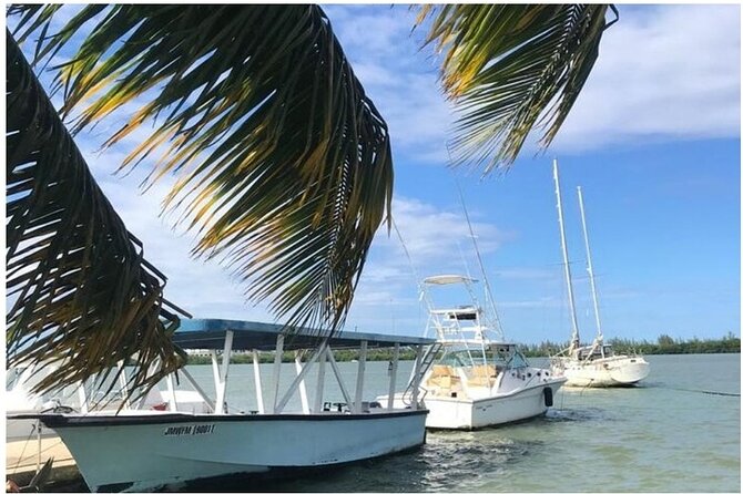 Luminous lagoon Dark night Tour from Ocho Rios and Runaway Bay Hotels - Swimming in the blue-green water
