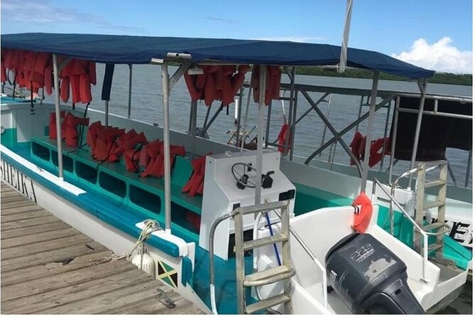 Luminous lagoon Dark night Tour from Ocho Rios and Runaway Bay Hotels - How much time do you really get?