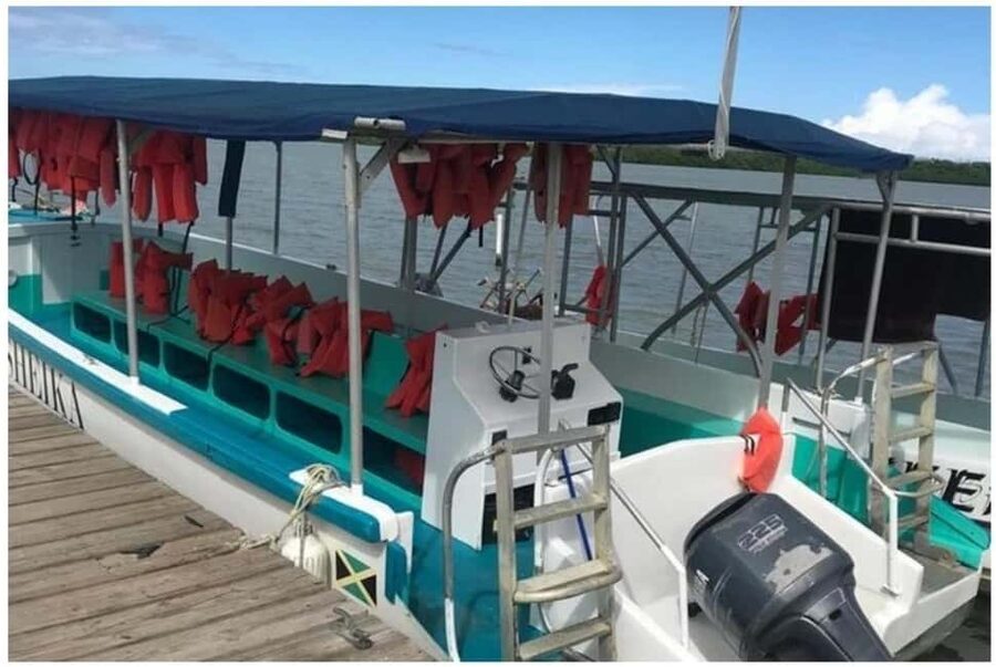 Luminous Lagoon Experience: Ocho Rios Runaway Bay & Falmouth - The right night can make or break it