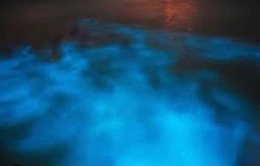 Luminous Lagoon Experience: Ocho Rios Runaway Bay & Falmouth - Should you book the Luminous Lagoon tour?