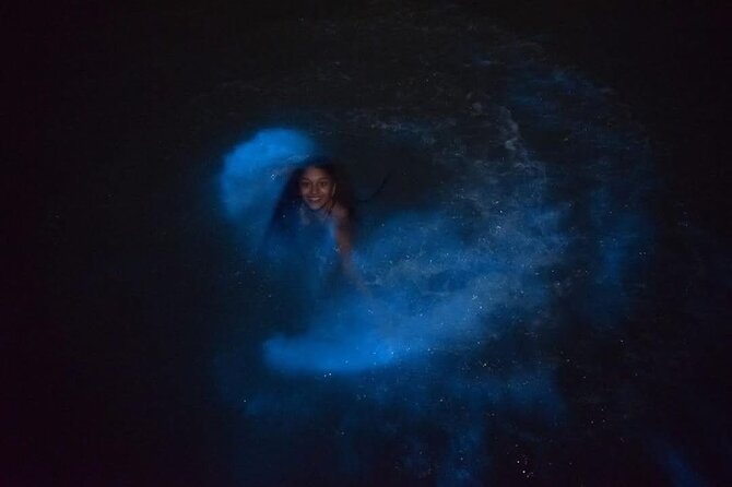Luminous Lagoon (Glistening Waters) Night Tour - The 30-minute glass-bottom boat ride