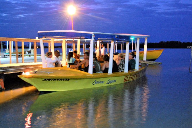 Luminous Lagoon "Glistening Waters" Tour from Grand Palladium Resorts - Why Jamaica’s Luminous Lagoon glows