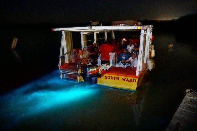 Luminous Lagoon "Glistening Waters" Tour from Grand Palladium Resorts - The trip from Grand Palladium to Falmouth