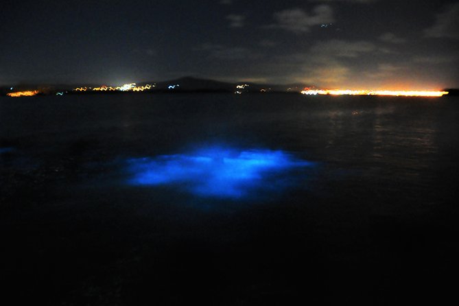 Luminous Lagoon "Glistening Waters" Tour from Grand Palladium Resorts - Crowds, boat space, and comfort