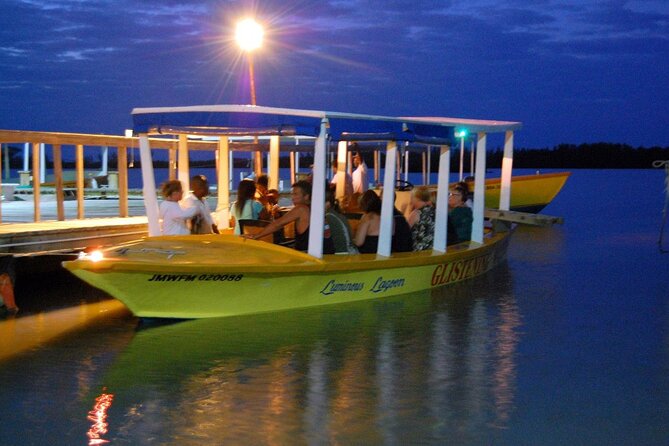 Luminous Lagoon Glow in the Dark Boat Tour from Montego Bay - Who will enjoy this tour most