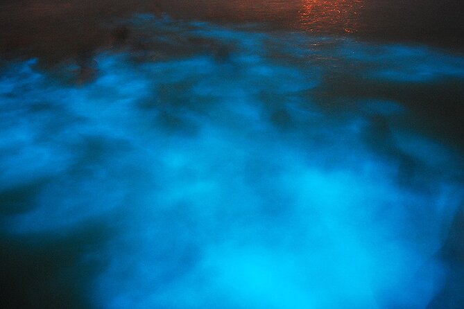 Luminous Lagoon Night Cruise From Montego Bay - Why the Luminous Lagoon is worth seeing at night