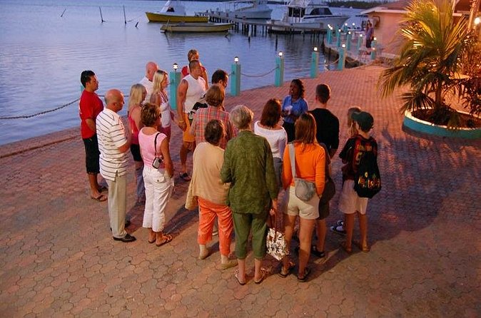 Luminous Lagoon Night Cruise From Montego Bay - Swimming in the glowing water