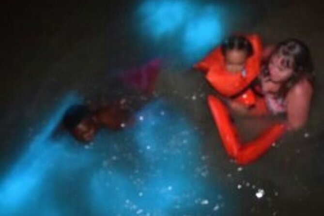 Luminous Lagoon Night-Time Tour from Montego Bay - Why the Luminous Lagoon glows after dark