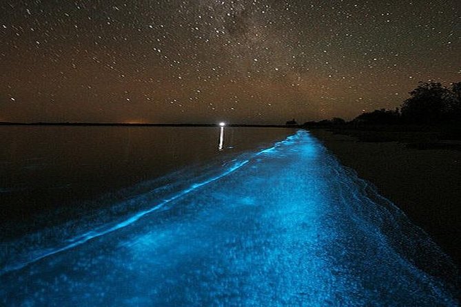 Luminous Lagoon Night-Time Tour from Montego Bay - Swimming is optional, but it changes the experience