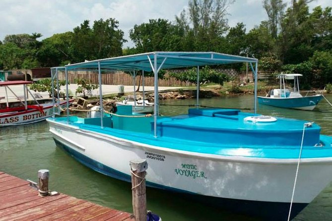 Luminous Lagoon Night-Time Tour from Montego Bay - What the $105 price includes