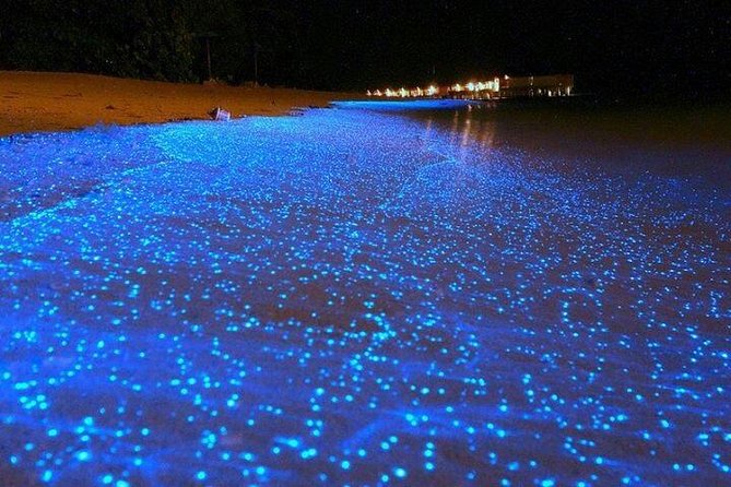 Luminous Lagoon Night-Time Tour from Montego Bay - A short boat ride into the glowing water