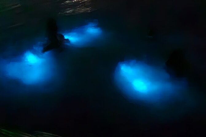 Luminous Lagoon Night Tour and Swim/Fire Dance from Montego Bay - Key Points to Know Before You Go