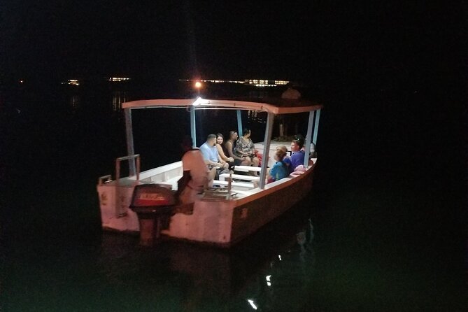 Luminous Lagoon Night Tour from Montego Bay - Is $54 a fair price?