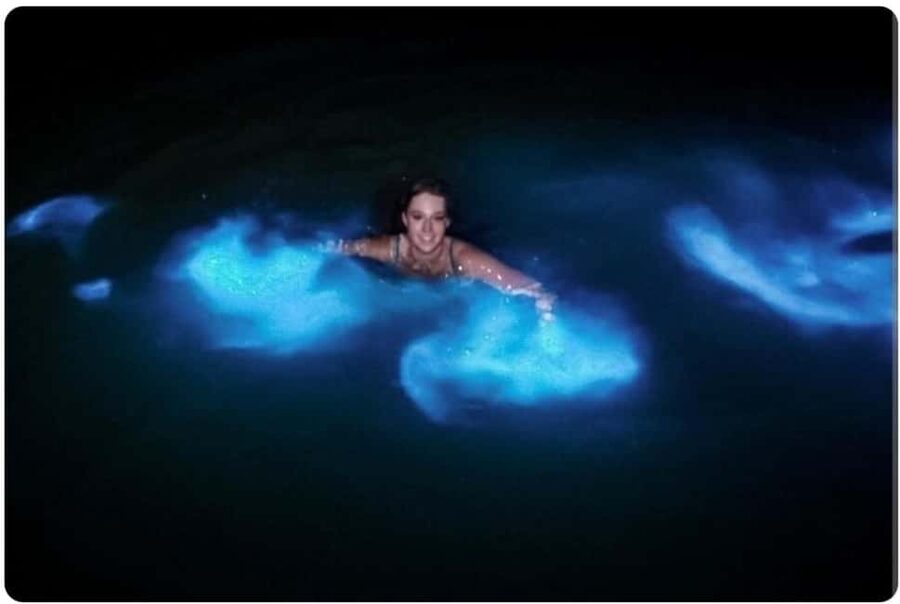 Luminous lagoon : Night Tour from Ocho Rios and Runaway Bay - The one-hour ride from Ocho Rios or Runaway Bay