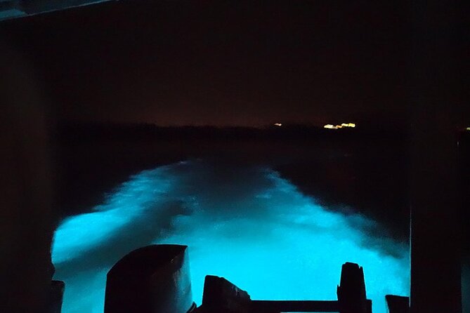 Luminous lagoon Night Tour Montego Bay - What the guides add to the evening