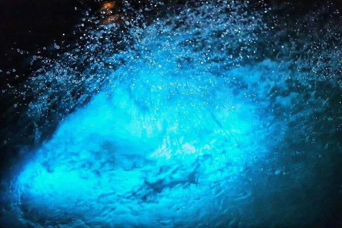 Luminous lagoon Night Tour Montego Bay - Who should book this Falmouth night tour?