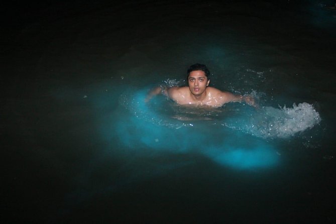 Luminous Lagoon Private Tour - Key details before you book