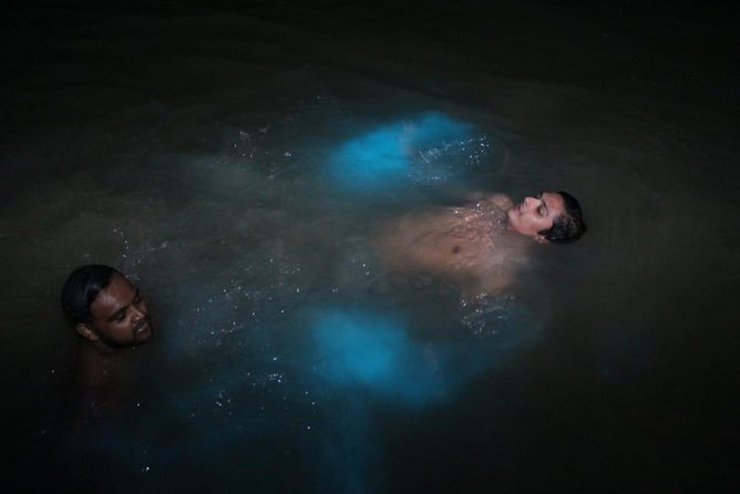 Luminous Lagoon Private Tour - Working out the real cost
