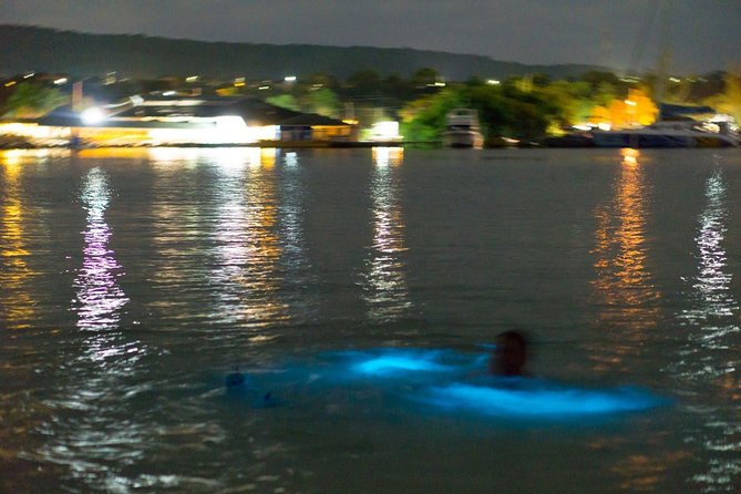 Luminous Lagoon Sightseeing Tour in Montego Bay - What Makes the Luminous Lagoon Glow