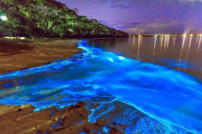 Luminous Lagoon Small Group Tour from Montego Bay - Key things to know before booking