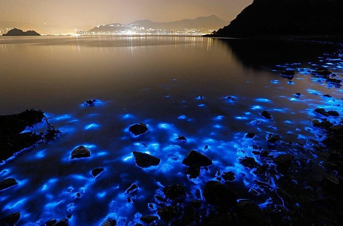 Luminous Lagoon Small Group Tour from Ocho Rios - Small group claims need a careful check