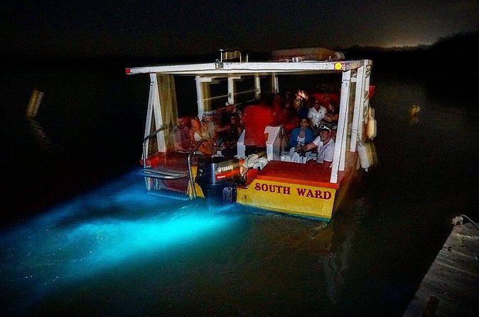 Luminous Lagoon Small Group Tour from Ocho Rios - What the price includes, and what it leaves out