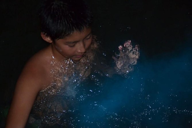 Luminous Lagoon Tour from Montego Bay & Rosehall Hotels - Why Luminous Lagoon glows after dark