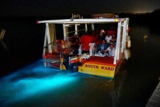Magical Luminous Lagoon Private Tour - From Montego Bay to Glistening Waters