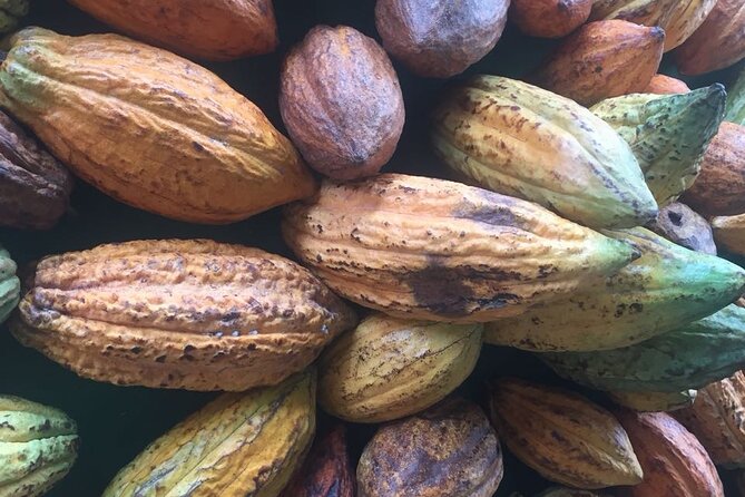 Make your own Bean to Bar Chocolate Factory Tour - Learning hand tempering with a bowl and hair dryer