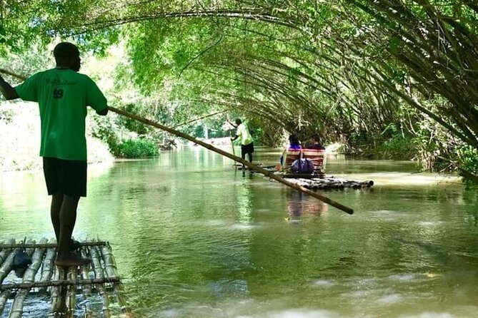 Martha Brae Rafting Private Tour - What you will see from the water