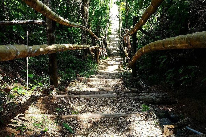 Mayfield Falls, Blue Hole & Rick's Café Tours/Weed Farm option - Why this Montego Bay day trip works