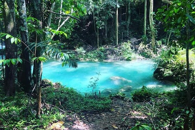 Mayfield Falls, Blue Hole & Rick's Café Tours/Weed Farm option - Who will enjoy this most