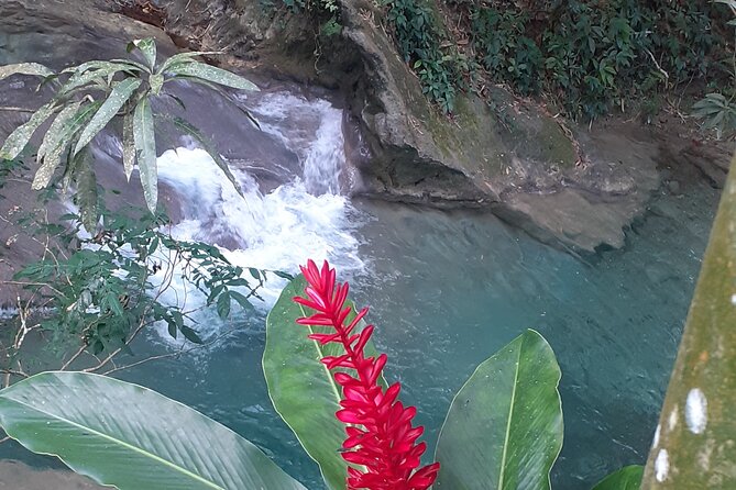 Mayfield Falls nature walk - Why the private format matters at Mayfield