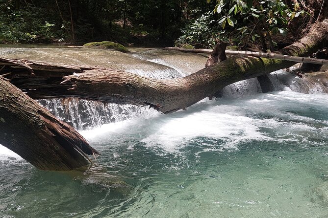 Mayfield Falls nature walk - How active is the water experience?