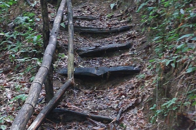 Mayfield Falls nature walk - Who will enjoy this outing most?