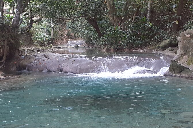 Mayfield Falls nature walk - Arriving at Mayfield Falls and Mineral Springs