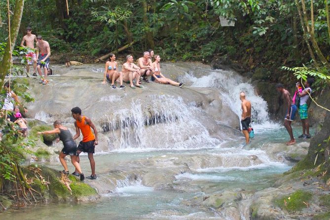 Mayfield Falls Private Tour - Key points to know before booking