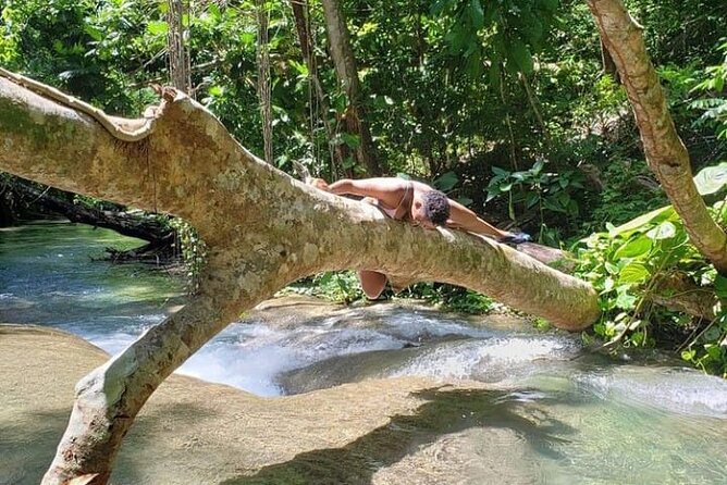 Mayfield Falls Tour with Lunch, drink, Entry & Transp(Original) - Natural pools, caves, and the limestone setting