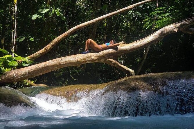 Mayfield Falls Tour with Lunch, drink, Entry & Transp(Original) - Lunch, drinks, and what the $125 price covers