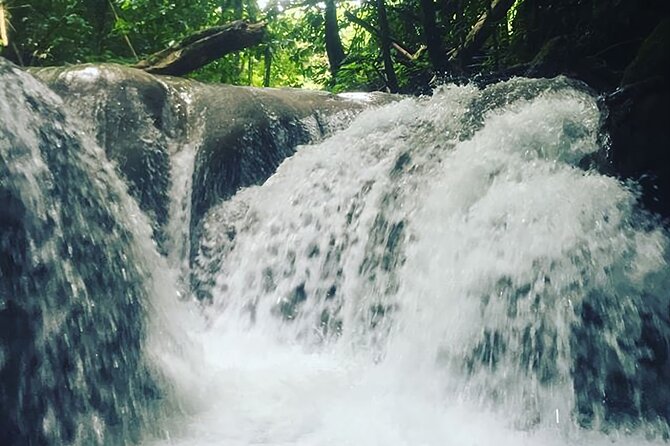 Mayfield Falls Tour with Lunch, drink, Entry & Transp(Original) - The physical challenge is real