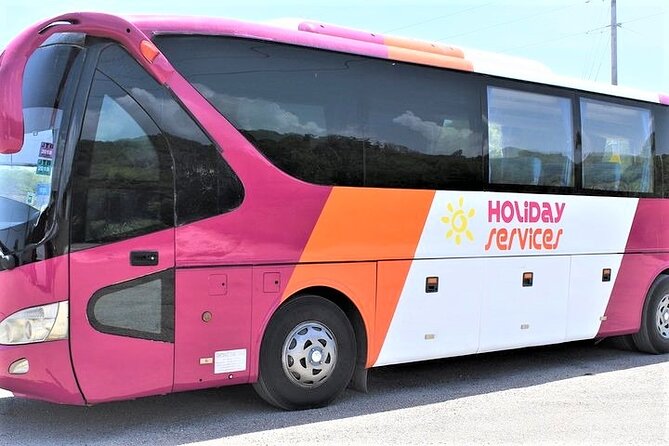 Montego Bay Airport (MBJ) Transfer One-Way or Round-Trip to Hotel - The shared shuttle and the first ride