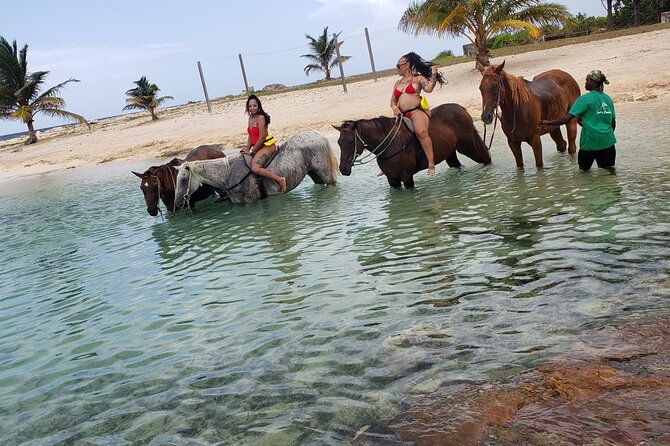Montego Bay Airport Round Trip Transfer - What the return transfer adds