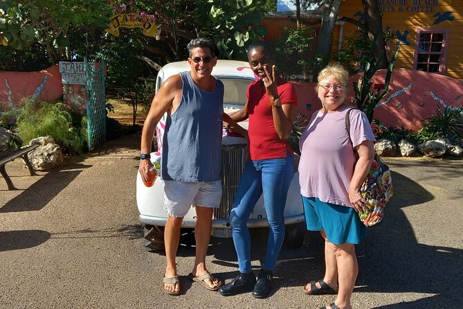 Montego Bay Airport Transfers Private Taxi to Hotels in Negril - Who will like this Montego Bay to Negril ride?