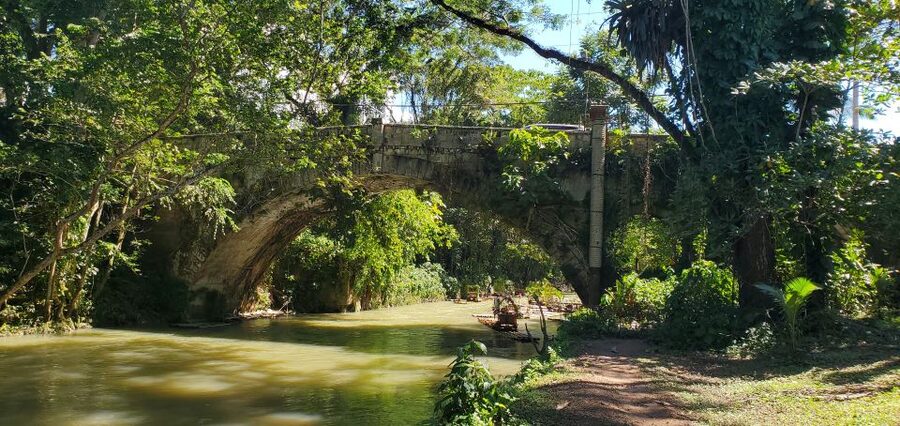 Montego Bay: Bamboo Raft Cruise on the Great River - Floating shops, Jamaican food, and music on the water