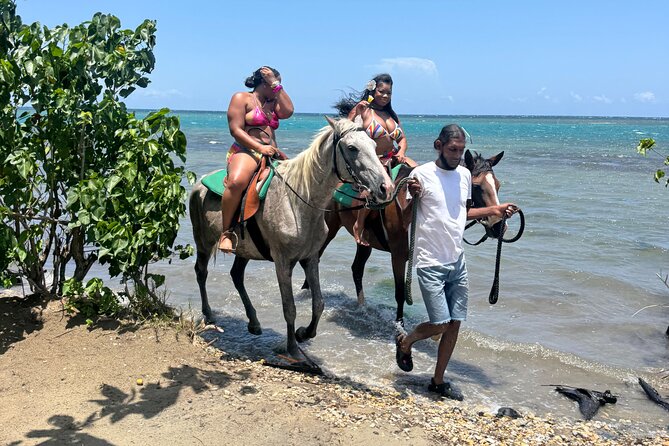 Montego Bay Beach Horseback Riding Tour - From Noble House to the Jamaican shoreline