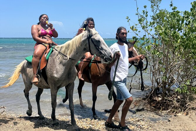 Montego Bay Beach Horseback Riding Tour - Practical planning for the day