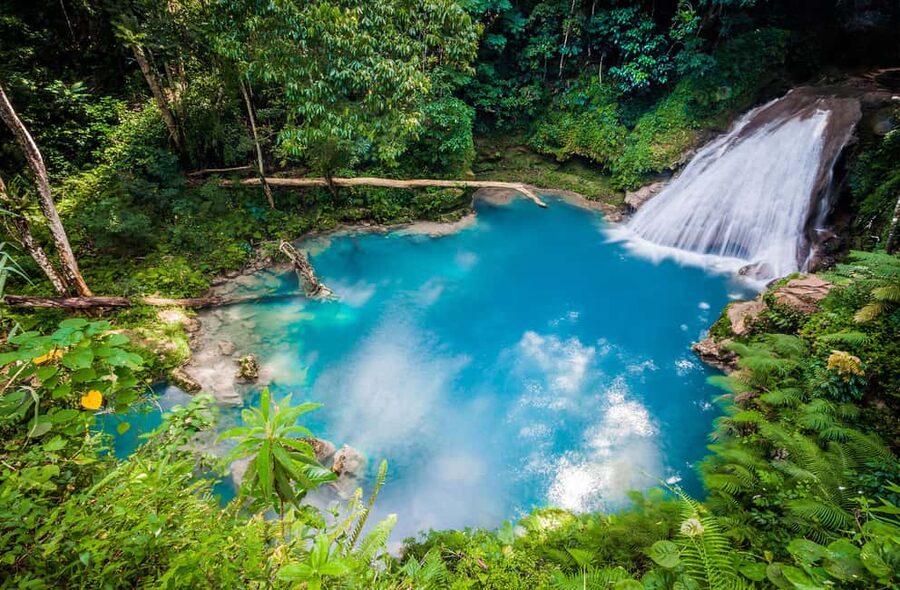 Montego Bay: Blue Hole, Dunn’s River, and Beach Club Trip - Dunn’s River Falls turns a waterfall into a team activity